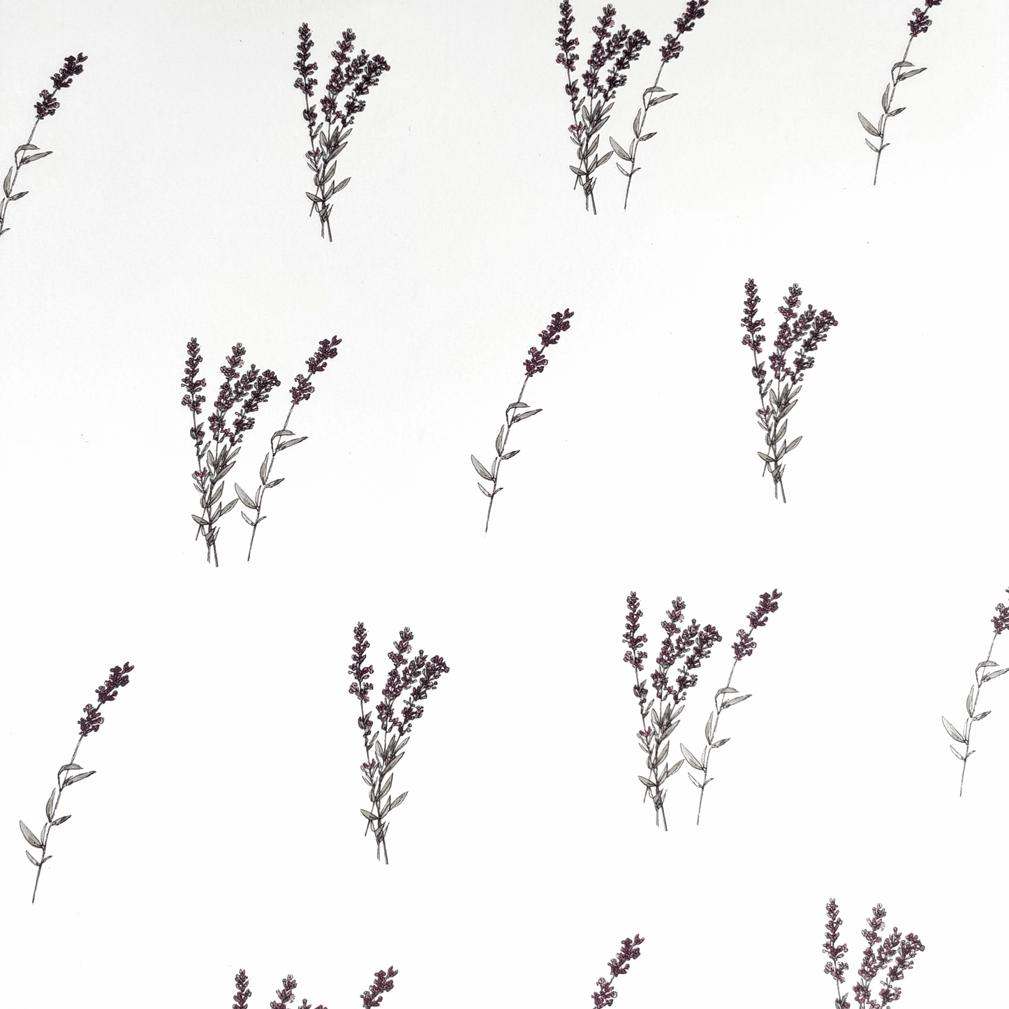 Baltas - gift_wrap, sc_0