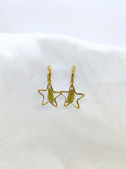 Žvaigždutės formos auskarai - naujiena, papuošalai