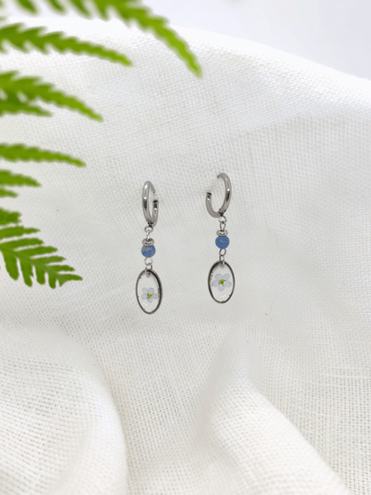 Auskarai su neužmirštuole - naujiena, papuošalai