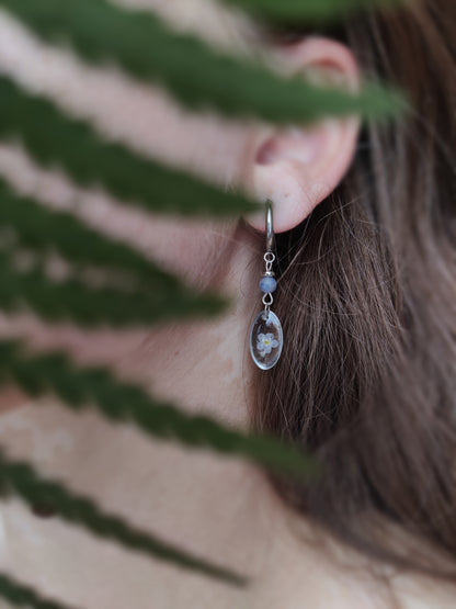 Auskarai su neužmirštuole - naujiena, papuošalai