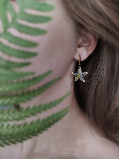 Žvaigždutės formos auskarai - naujiena, papuošalai